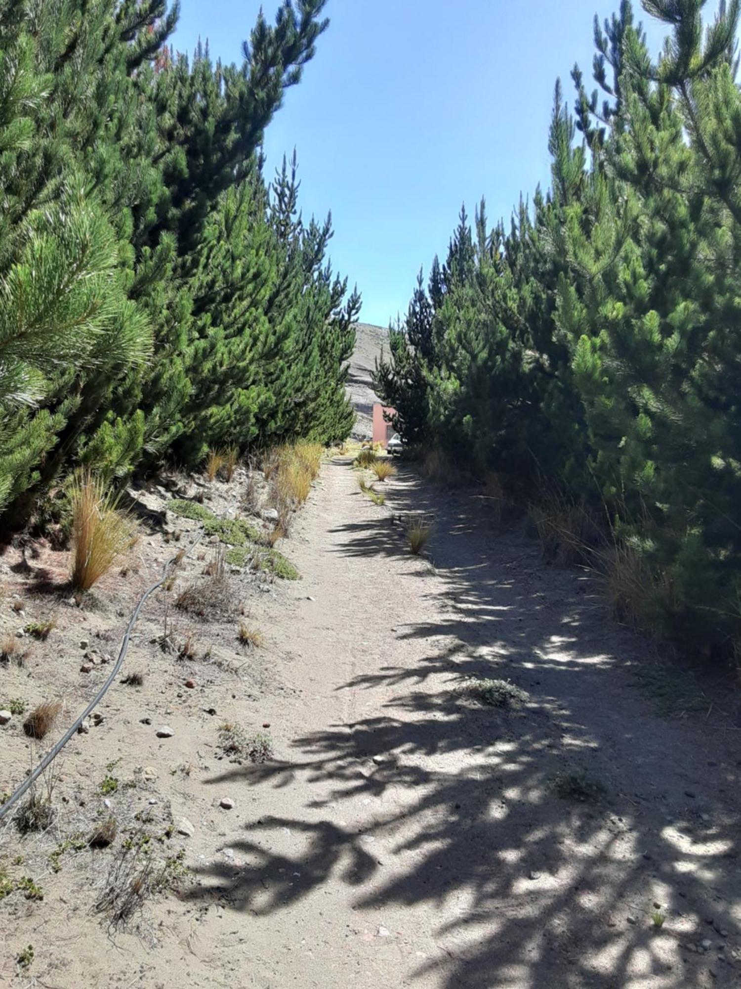 Hospedaje Chimborazo Eksteriør bilde